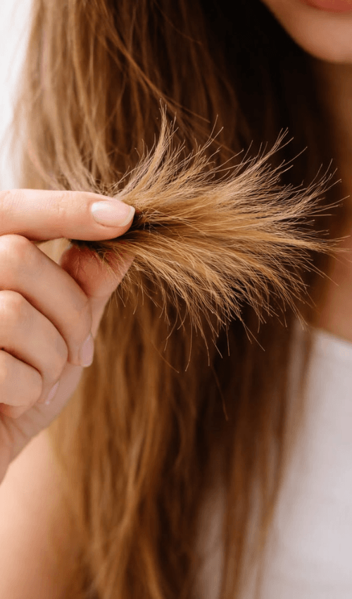 porosidad del pelo